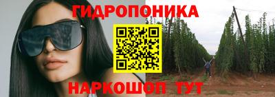 ПСИЛОЦИБИНОВЫЕ ГРИБЫ Пушкино