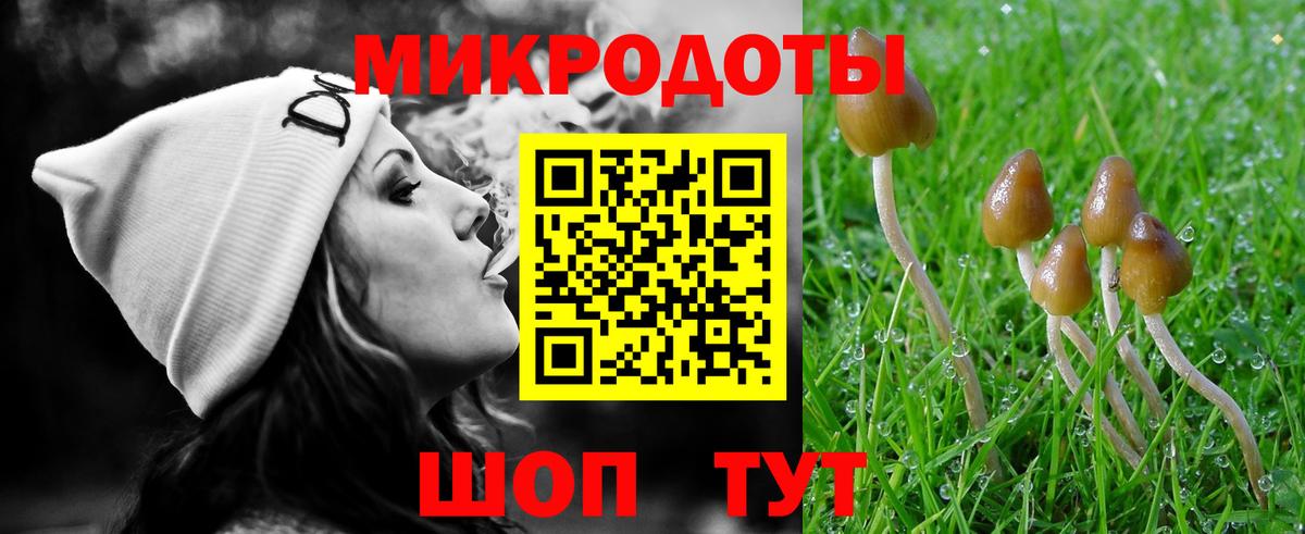 Псилоцибиновые грибы прущие грибы Шали